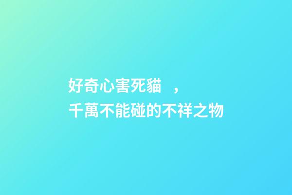 好奇心害死貓，千萬不能碰的不祥之物